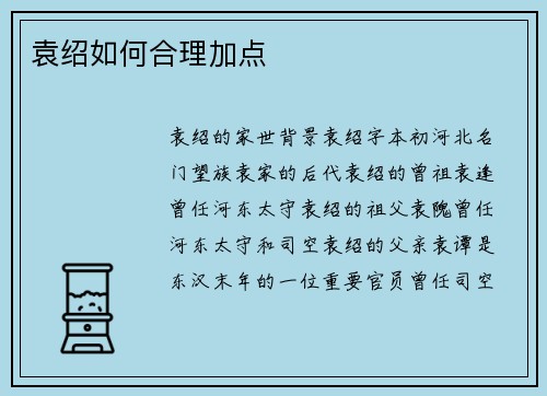 袁绍如何合理加点